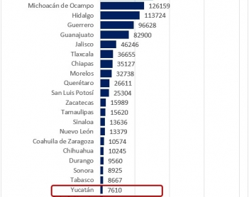 Yucas en la capital