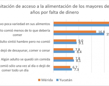Tuve hambre y me diste de comer: Accesibilidad a la alimentación en Yucatán
