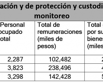 Los servicios de protección y custodia en Yucatán