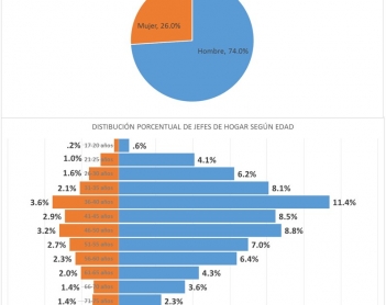 Jefaturas femeninas, causa y efecto